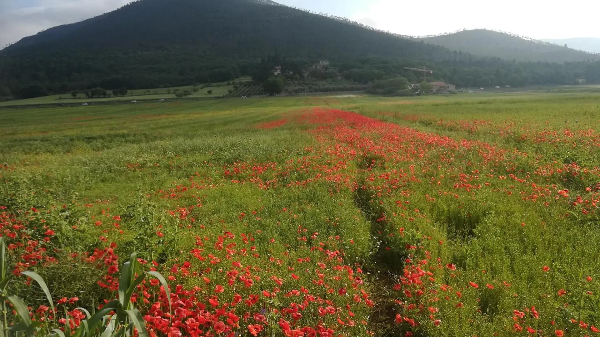 Appartamento Al Castello Montemurlo Italy