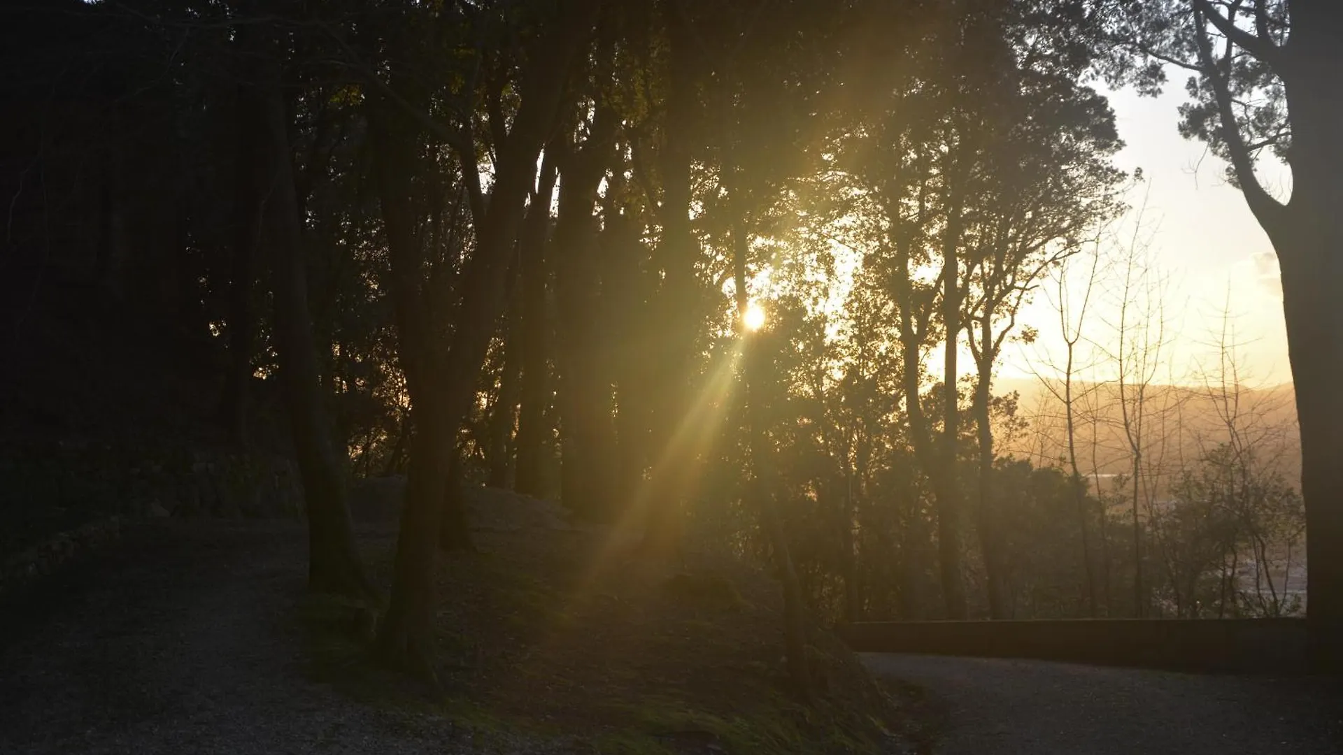 Appartamento Al Castello Montemurlo
